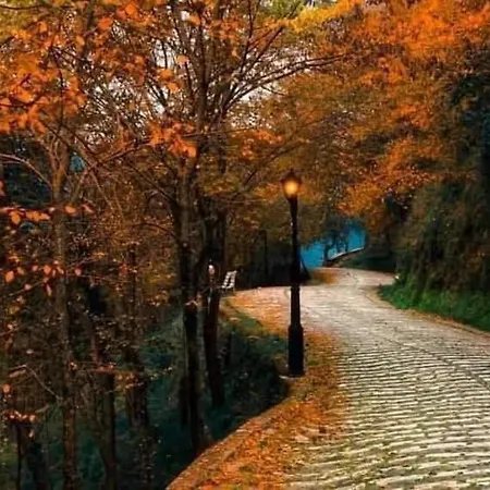 Silver Hill