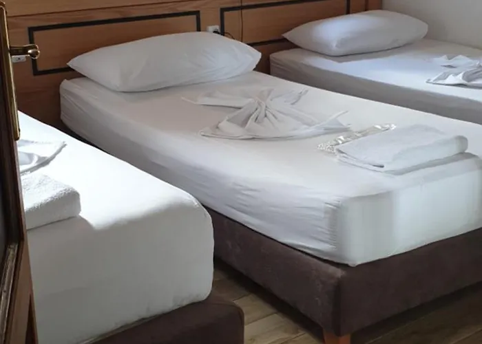 Guest house Silver Hill 3*